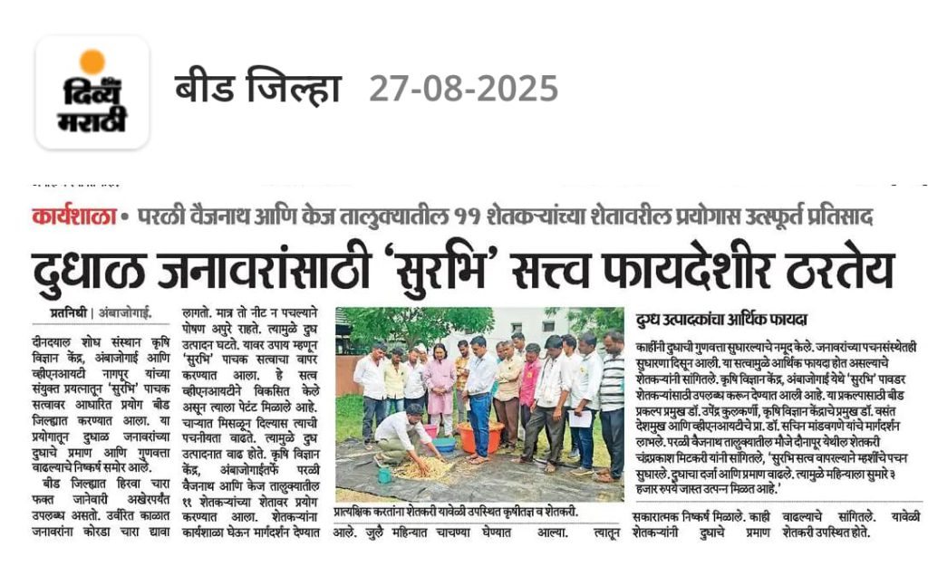 WhatsApp Image 2025-09-13 at 13.11.11_4247102c